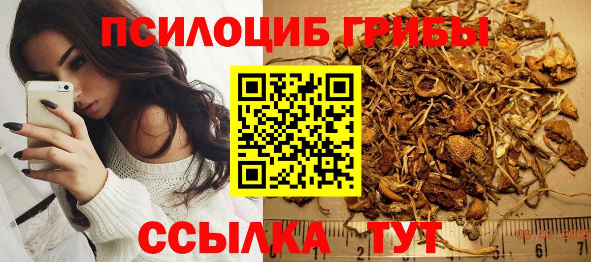 Шуя  Псилоцибиновые грибы Cubensis  Вход с VPN  Галлюциногенные грибы мухоморы 